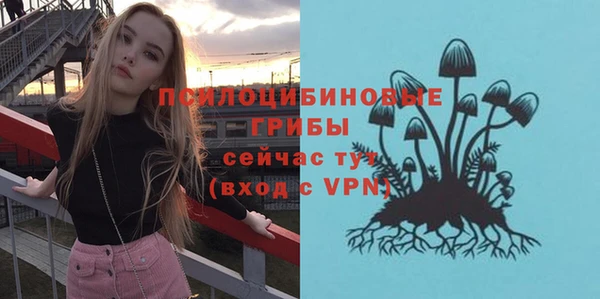 мескалин Богданович