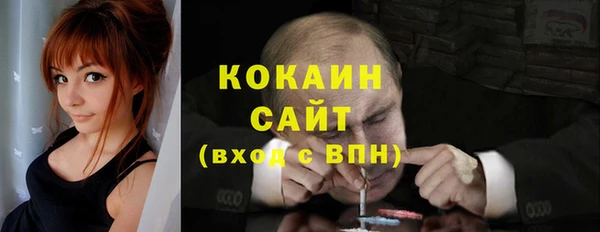 твердый Богородицк