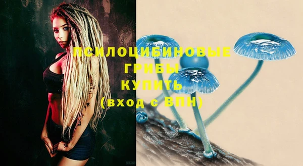 дмт Бронницы