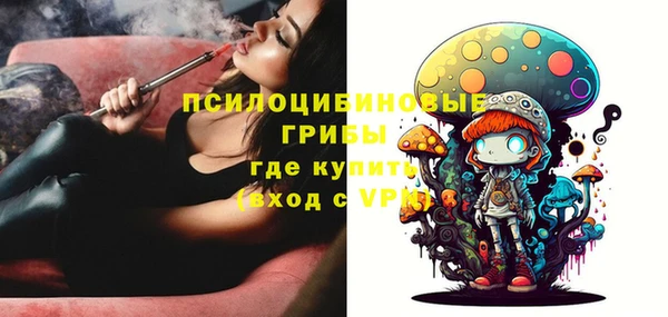 соль курить ск Богородск