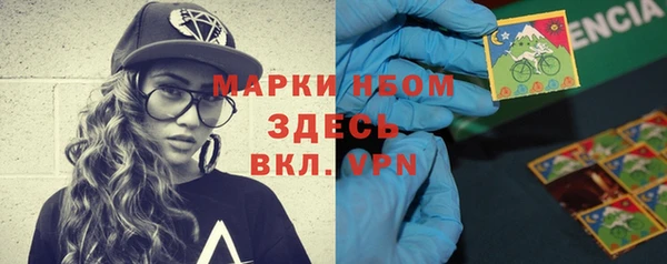 Альфа ПВП Бородино